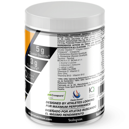 Post Workout (con Creapure®, Glutamina Kyowa Quality® y Cluster Dextrin®) – 500gr